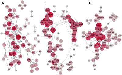 Identifying Antidepressant Effects of Brain-Derived Neurotrophic Factor and IDO1 in the Mouse Model Based on RNA-Seq Data